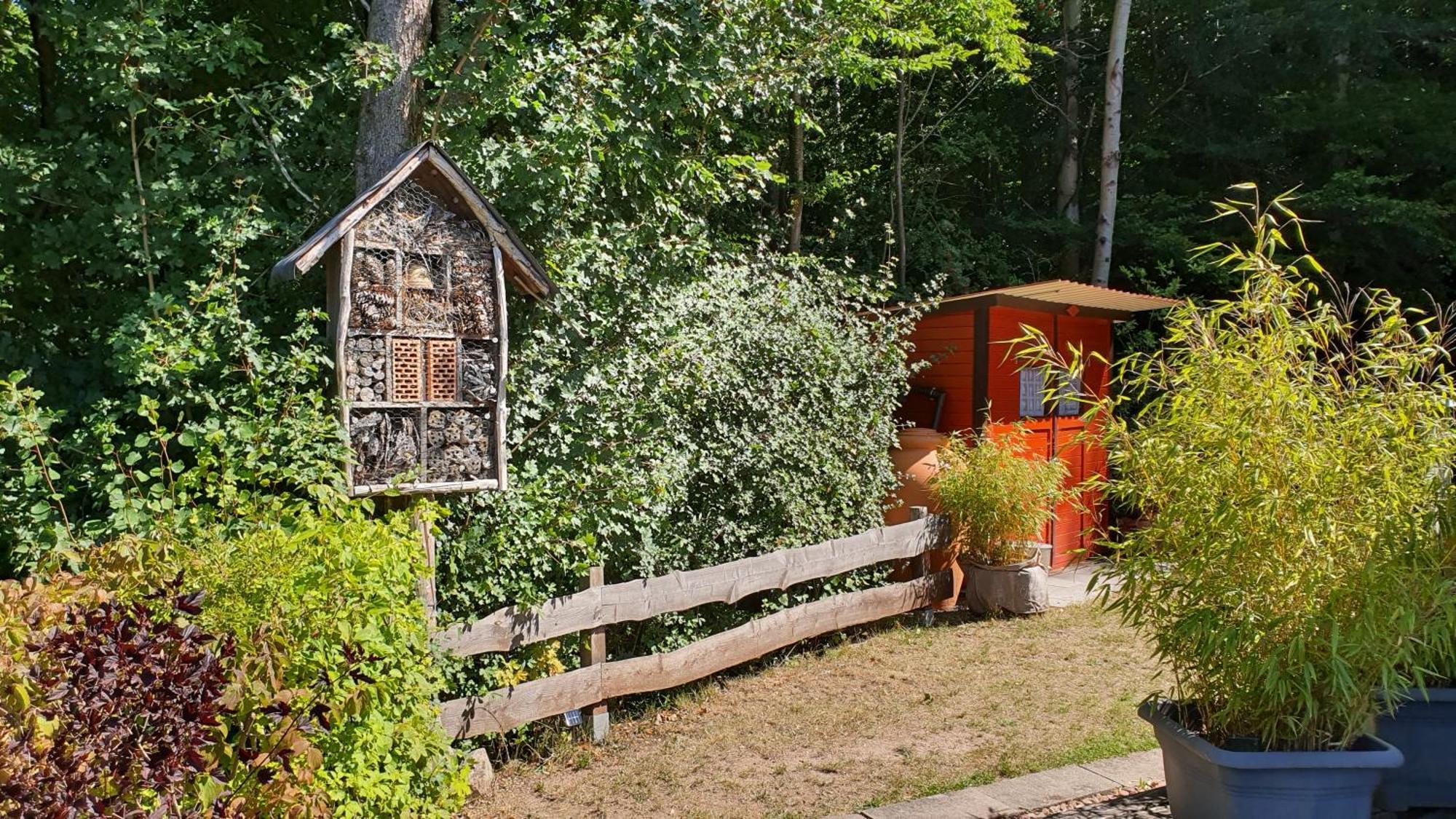 Ferienhaus Am Wald Ronshausen Екстер'єр фото